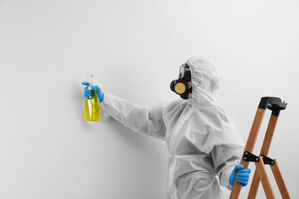 Trusted Greenup, KY Mold Removal Experts